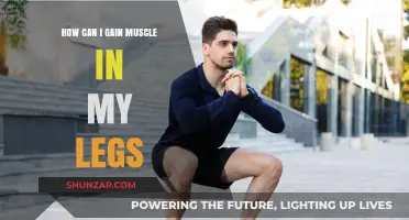 Effective Leg Muscle Building: Tips for Stronger, Toned Lower Body