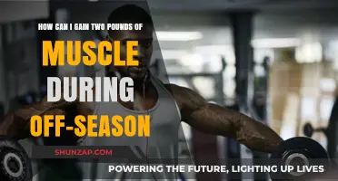 Effective Off-Season Strategies to Gain Two Pounds of Muscle