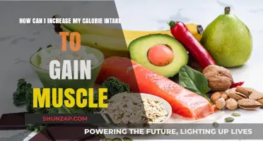 Boost Calorie Intake Strategically for Effective Muscle Gain and Growth