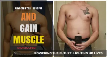 Tracking Fat Loss and Muscle Gain: Signs and Strategies for Success
