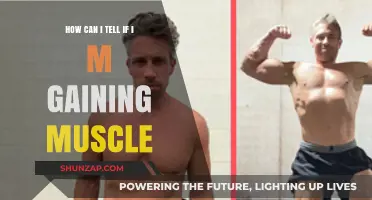 Signs You're Gaining Muscle: Tracking Progress and Strength Effectively