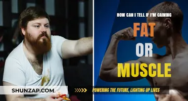 Fat or Muscle: Decoding Your Body's Transformation Signs