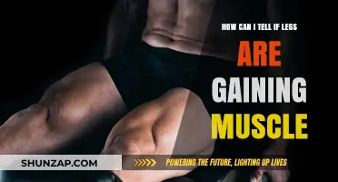 Spotting Leg Muscle Growth: Signs and Tracking Progress Effectively