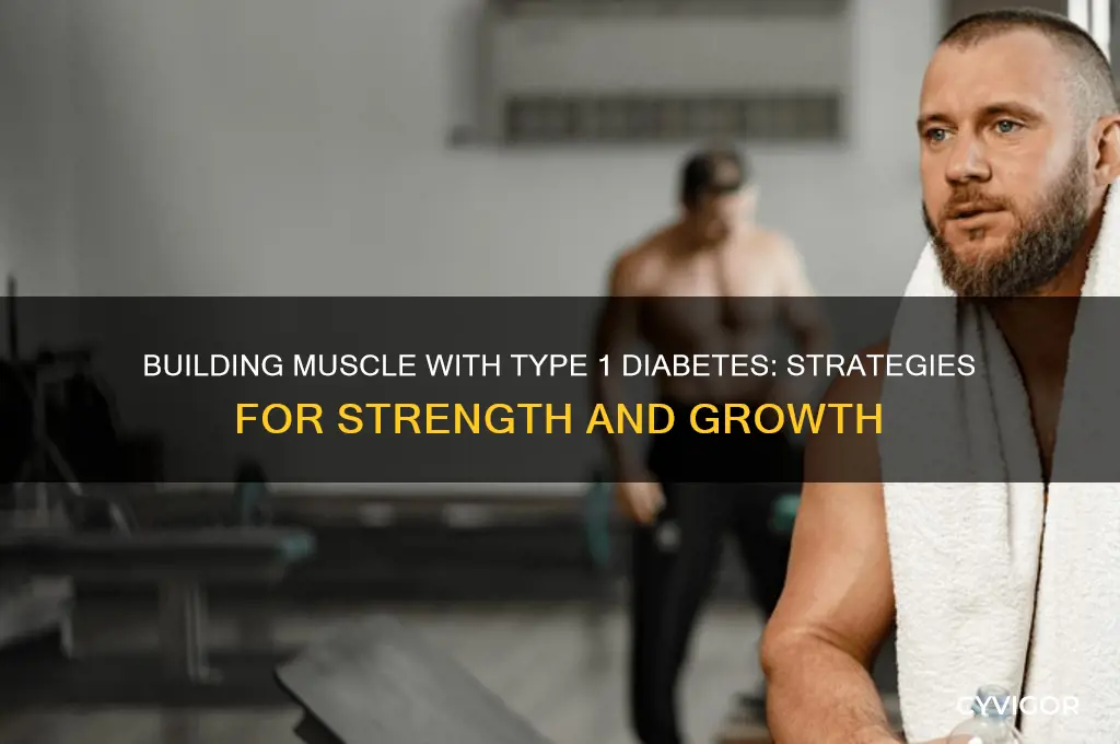 how can type 1 gain muscle