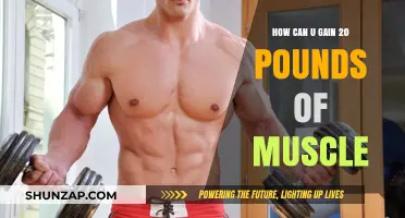 Effective Strategies to Build 20 Pounds of Muscle Mass Fast