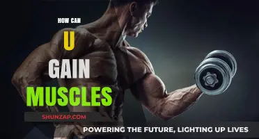Effective Strategies to Build Muscle Mass and Strength Fast
