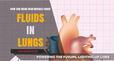 Weak Heart Muscle: A Fluid-Filled Lung Risk