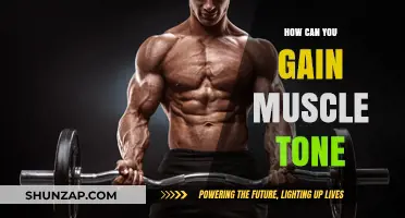 Effective Strategies to Build and Define Muscle Tone Naturally