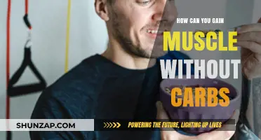 Building Muscle on Low-Carb Diets: Strategies for Effective Gains
