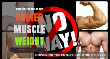 Identifying Muscle Gain: Signs You've Built Lean Mass Effectively