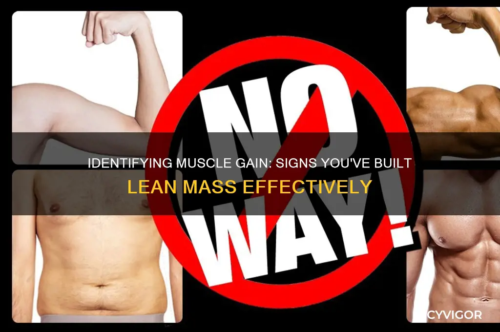 how can you tell if you gained muscle weight