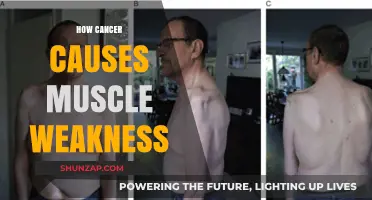 Cancer's Impact: Muscle Weakness Explained
