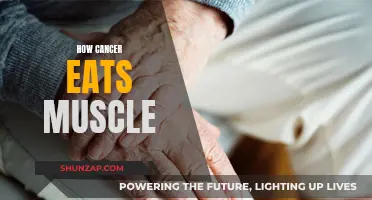 Cancer's Muscle Loss: Understanding the Devastating Breakdown