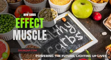 Carbs and Muscles: The Good, the Bad, and the Ugly