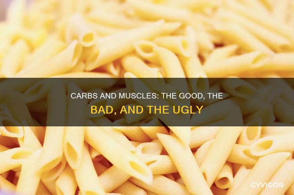 how carbs effect muscle