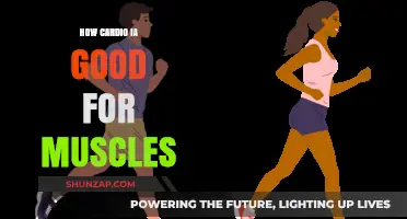 Cardio's Muscle Benefits: Enhancing Strength, Endurance, and Recovery Naturally
