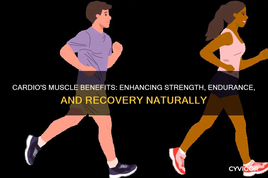 how cardio ia good for muscles