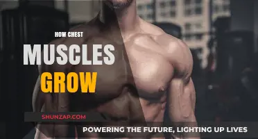 Unlocking Chest Growth: Effective Strategies for Stronger, Bigger Pectorals