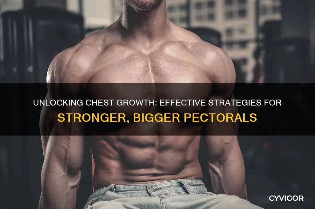 how chest muscles grow