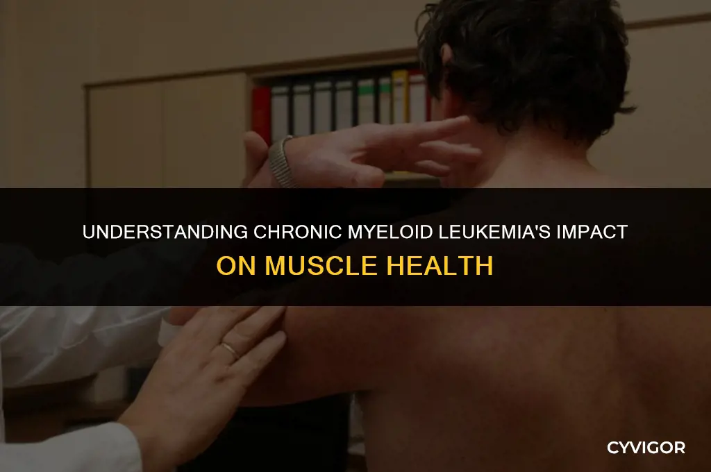 how chronic myeloid leukemia affects muscles