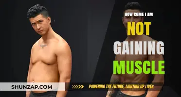 Why Your Muscle Gains Are Stalled: Key Factors to Consider