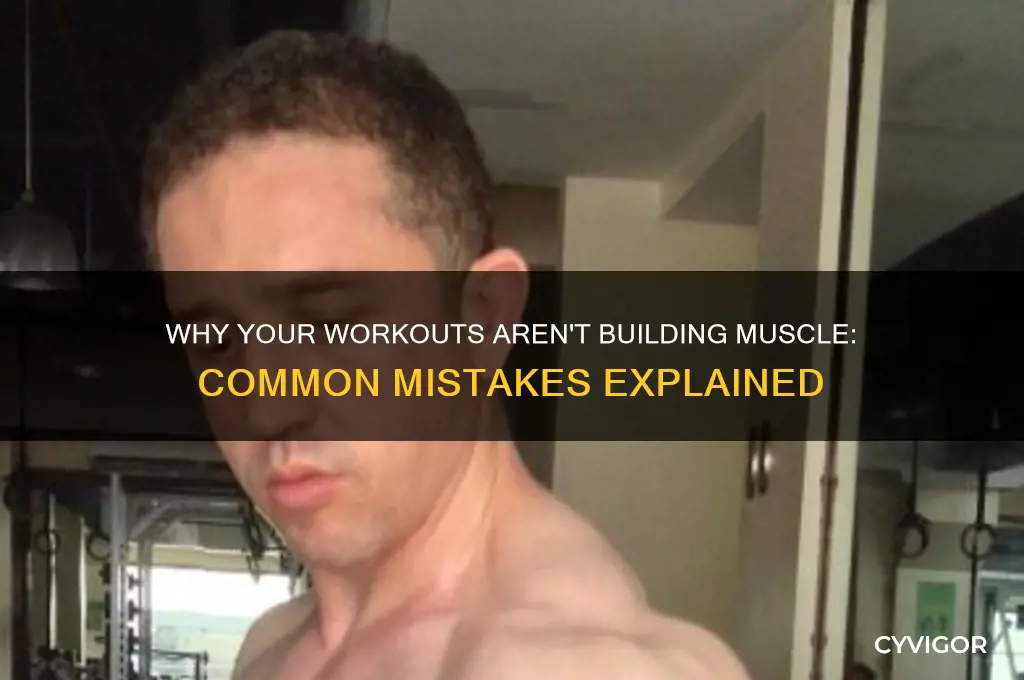 how come i workout and don