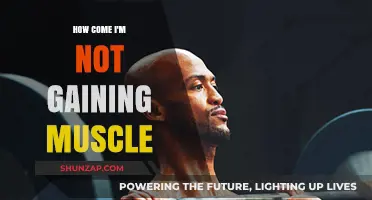 Why Your Muscle Gains Are Stalling: Key Factors to Consider