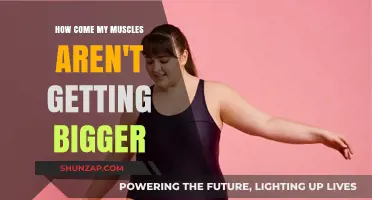 Unlocking Muscle Growth: Why Your Gains Might Be Stalling