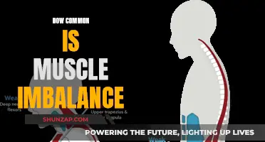 Muscle Imbalance: A Common Issue for Many People
