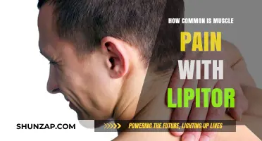 Muscle Pain and Lipitor: Understanding Its Prevalence and Causes