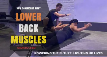 Understanding the Prevalence of Tight Lower Back Muscles