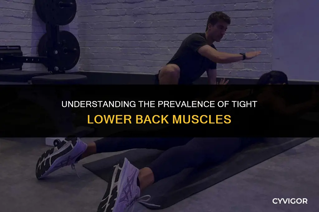 how common is tight lower back muscles