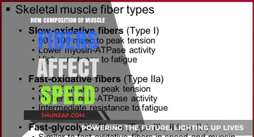 Unraveling the Impact of Muscle Fiber Composition on Speed
