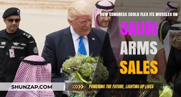 Congress' Power Play: Leveraging Influence Over Saudi Arms Sales