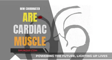 The Cardiac Muscle's Intricate Coordination: A Complex Dance