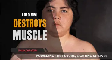 Cortisol: The Muscle-Wasting Hormone Explained