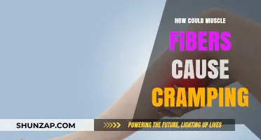 Understanding Muscle Fibers and Their Role in Cramping
