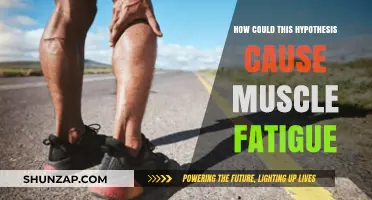 Muscle Fatigue Mystery: Unraveling the 'Why