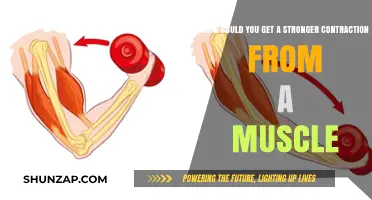 Unlocking Muscle Power: Techniques for Stronger Contractions