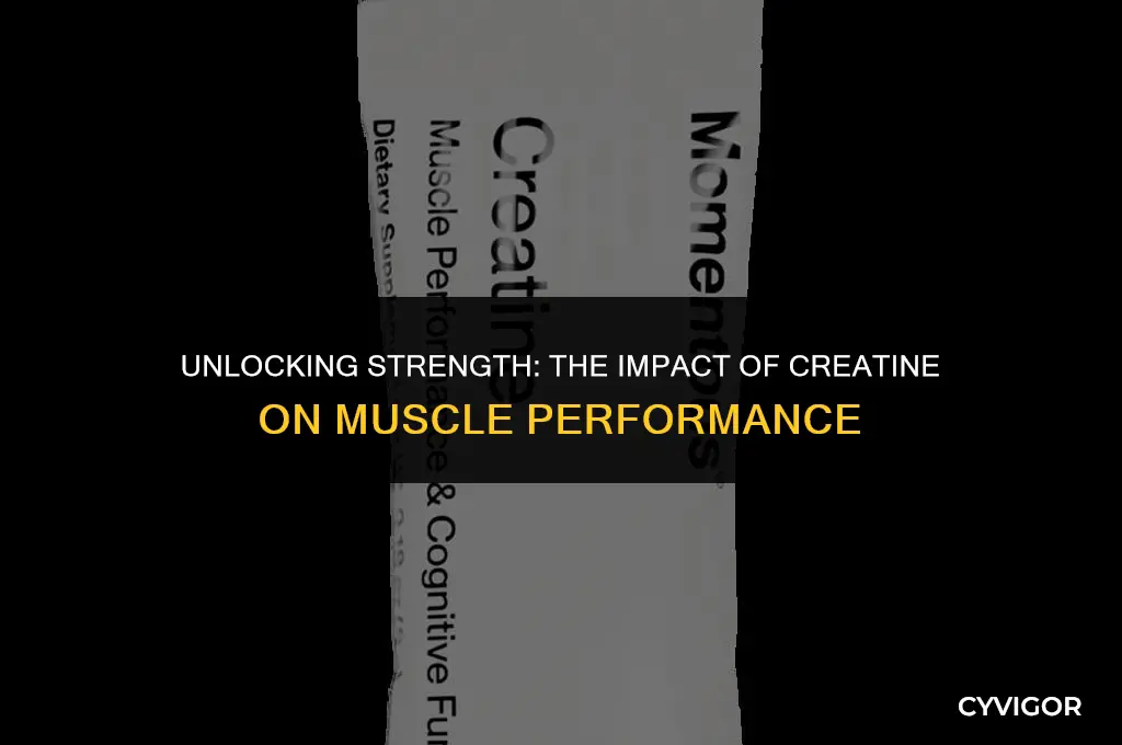 how creatine affects muscle