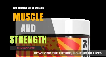 Creatine's Power: Unlocking Muscle Growth and Strength Gains