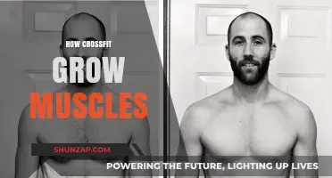 CrossFit Muscle Growth: Effective Strategies for Strength and Size