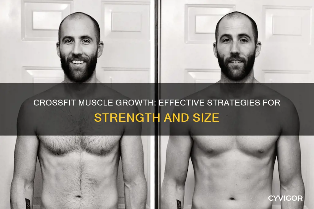 how crossfit grow muscles