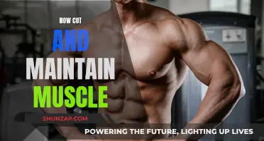 Cutting Muscle: Maintenance Secrets for Your Ideal Body