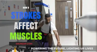 Understanding the Impact of Strokes on Muscle Function and Recovery