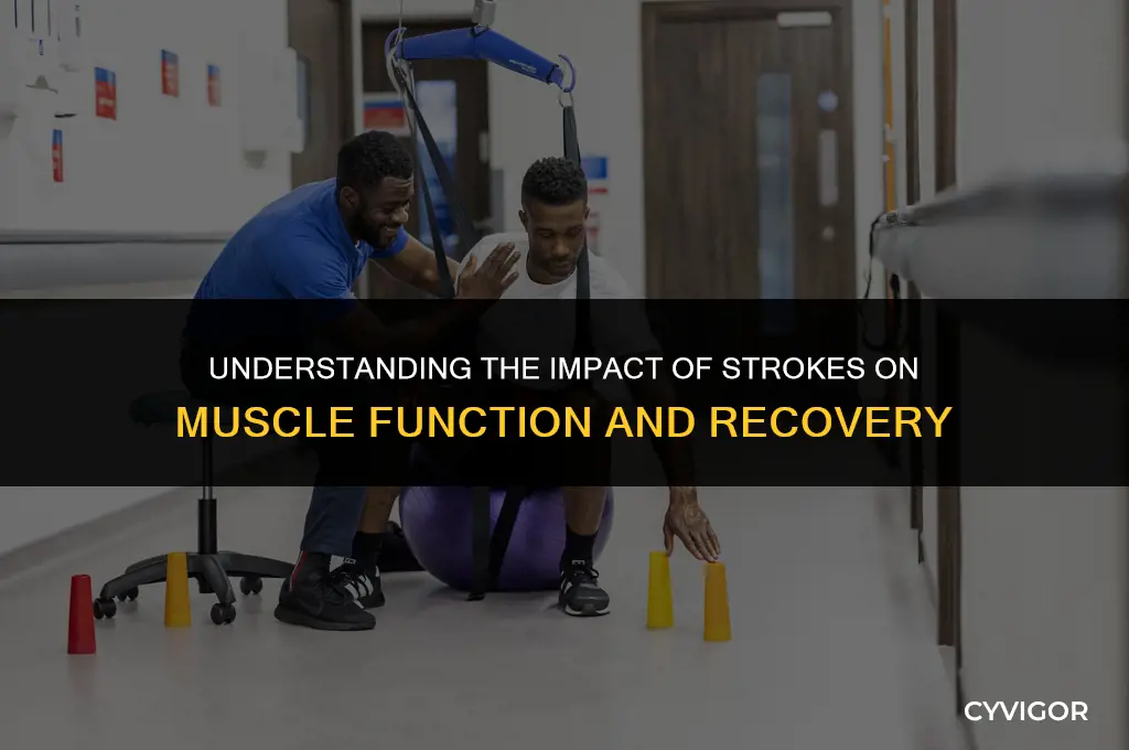 how d strokes affect muscles