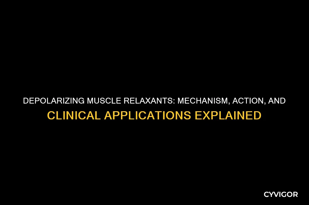 how depolarising muscle relaxants work