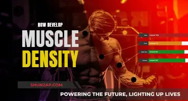 Building Muscle Density: Strategies for a Stronger Physique