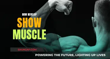 Building Show Muscles: A Step-by-Step Guide