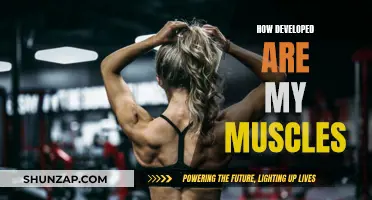 Muscle Development: How Advanced Are My Gains?